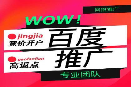百度广告推广案例费用分析报告